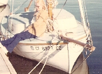 Sea Mew with Mom